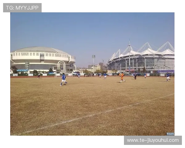 淮北市足球群发展现状及参与人数分析